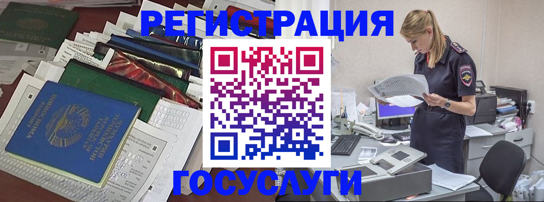 где прописаться в Светлогорске